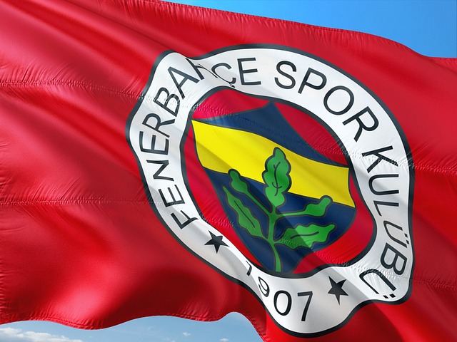 fenerbahçe seçimi.jpg