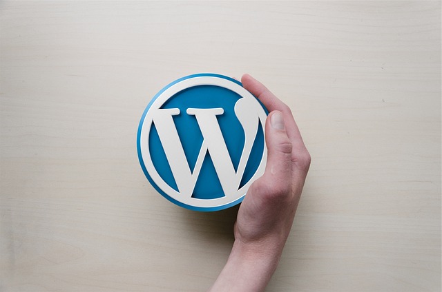 wordpress logo.jpg