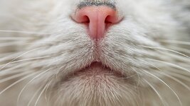 AQAOB5reCvxLG6UJJ61EiuFepcmcAfTdptopuALkUUNuWDswVDYicSqHV8cfRU5HA42A-27oy8NxYE8tohuAvDZZ5rY.jpg