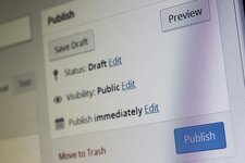 wordpress yayına alma.jpg