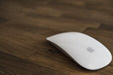 Mouse Seçerken Nelere Dikkat Etmeliyiz?