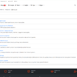 Türkiye'nin En Büyük Webmaster Sitesi